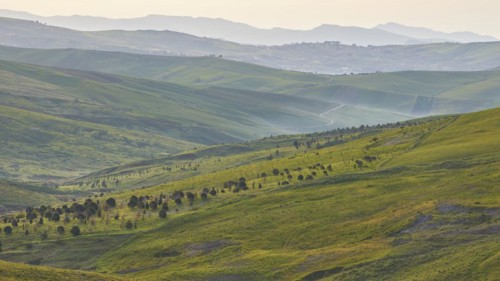 Fog, mountains, trees, green hills, fields, Madonie National Park, spring, Sicily, Italy, Europe