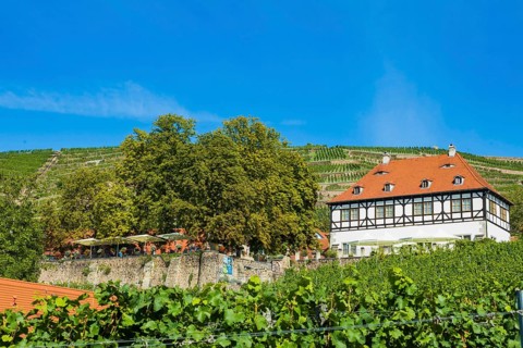 Hoflössnitz st a former Electoral Saxon, now municipal winery on the Saxon Wine Route In the 21st