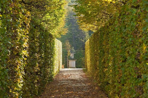 Grossedlitz Baroque Park