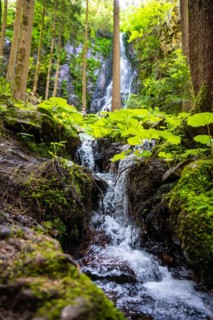 Burgbach waterfall in the sunlight, Black Forest, Bad Ripoldsau, Germany, Europe