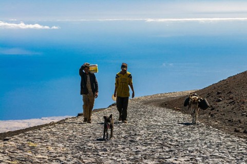 Natives with donkeys on paths around vulcano on Fogo. Cabo Verde. Africa