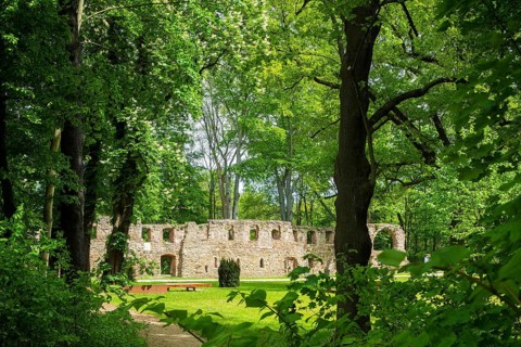 Nimbschen Monastery