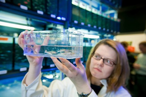 Max Planck Institute of Molecular Cell Biology and Genetics