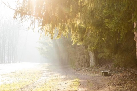 The lower section of the Schullwitzbach valley in Dittersbach is called the Lieblingstal. The