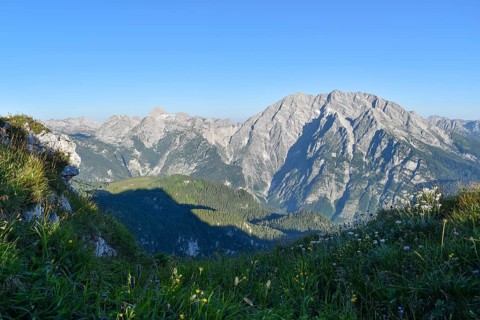 Watzmann and Grosser Hundstod in the morning light, Gotzenalm in the middle ground on the left,