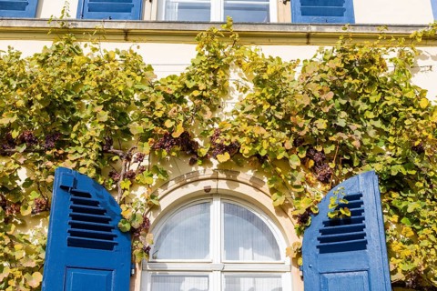 The Meinhold Tower House, now Weingut Friedrich Aust, on Weinbergstrasse 10 in Radebeul