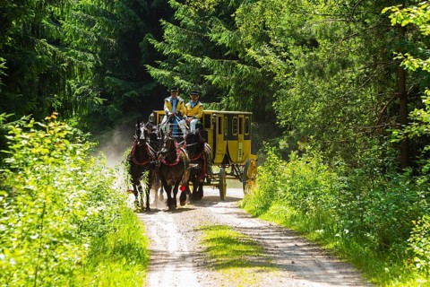 8th stagecoach meeting in Grillenburg