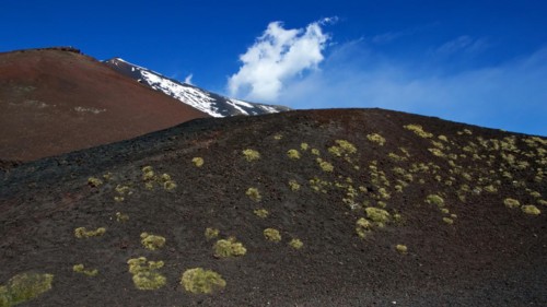 Black lava field, green low vegetation, red lava hill, snow, Crateri Silvestri, Etna, volcano,