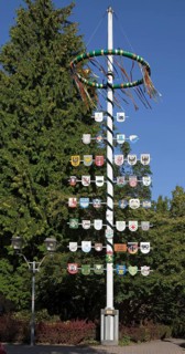 Maypole next to the town hall Bad Münder Germany