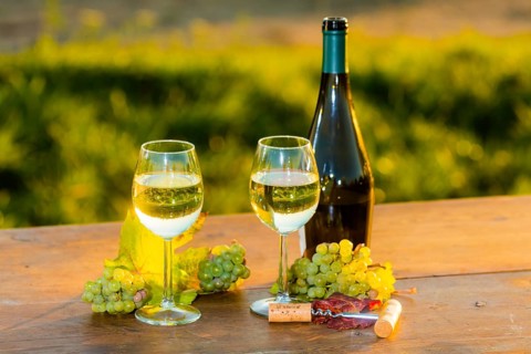 The wine-growing region of Saxony is one of the smallest and the most easterly wine-growing region