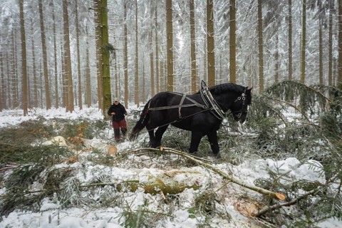 Winter in the Ore Mountains