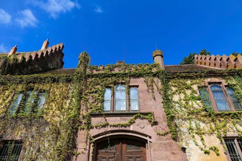 Dotternhausen Castle, Cotta's Castle, Dotternhausen Castle, historical building, aristocratic