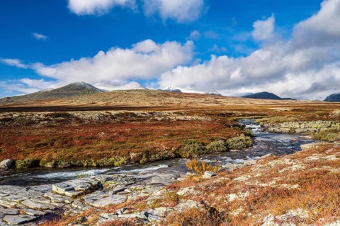 Autumnal mountain landscape with river Store Ula, Rondane National Park, Norway, Europe