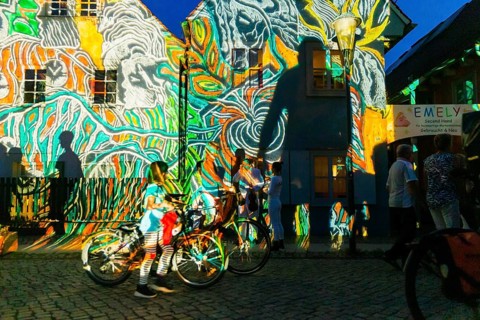 Midsummer Night's Dreams Projections by Claudia Reh, Florian Meyer, violin, Norbert Kegel dances