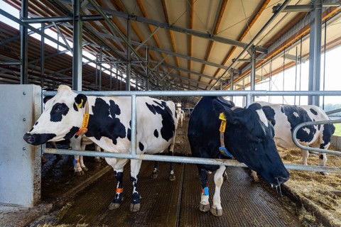 Winner of the Saxon State Competition for Animal-Friendly and Environmentally Compatible Husbandry