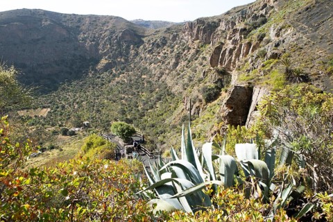 Caldera de Bandama in the Bandama Natural Park or Monumento Natural de Bandama, Las Palmas