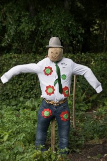 Scarecrow, Emsland, Lower Saxony, Germany, Europe