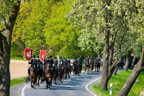 Every year at Easter there are about 5 processions in Lusatia, each with about 200 riders. The