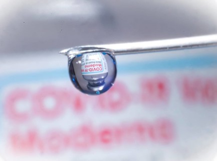 Macro image Covid vaccine, a drop of Moderna vaccine hangs on a vaccine needle