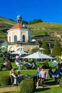 Winery Wackerbarth Castle
