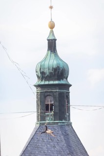 Highline and family festival in Hohnstein Highlines are stretched over the roofs of Hohnstein and