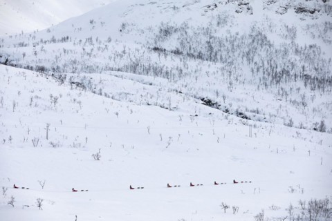 Husky dog sledding trip in wintry, mountainous landscape, Tromso, Troms og Finnmark, Norway, Europe