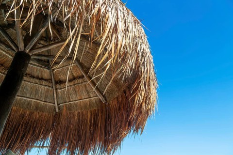 Thatched palapa shelter buildings with blue sky, Gulf of Mexico coast, Celestun, Yucatan, Mexico,