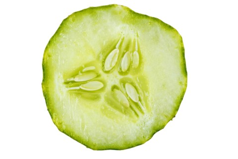 Close-up of a cucumber (Cucumis sativus) slice, on white