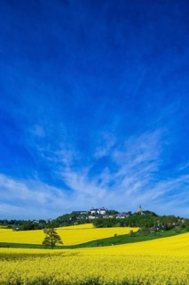 Augustusburg Castle