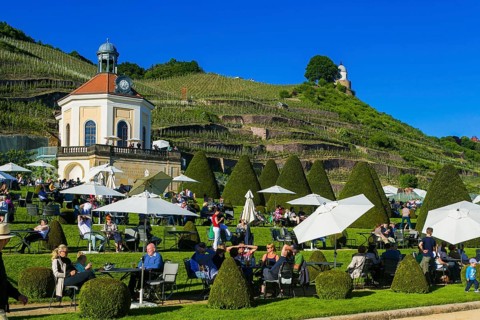 Winery Wackerbarth Castle