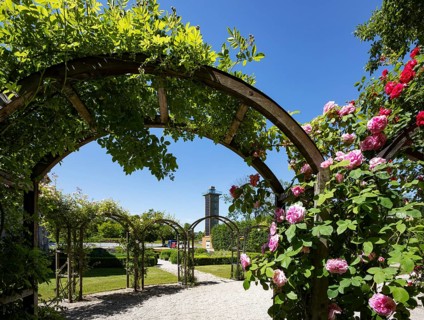 Rose garden in the Obernberg castle area with observation tower eINNblick, Obernberg am Inn,