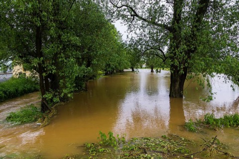 Village stream in Reinhalodshain