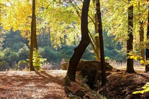 Kromlau Castle Park Rakotz Bridge