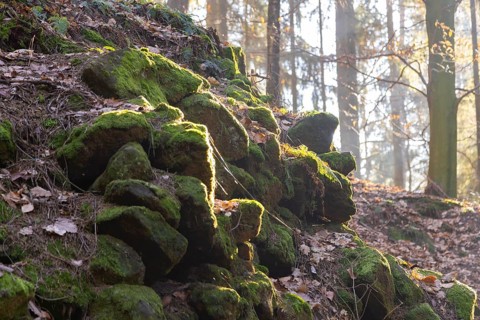 Hiking trail through the Schiessgrund in the Schrammstein area in Saxon Switzerland