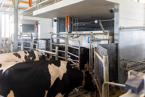 Winner of the Saxon State Competition for Animal-Friendly and Environmentally Compatible Husbandry