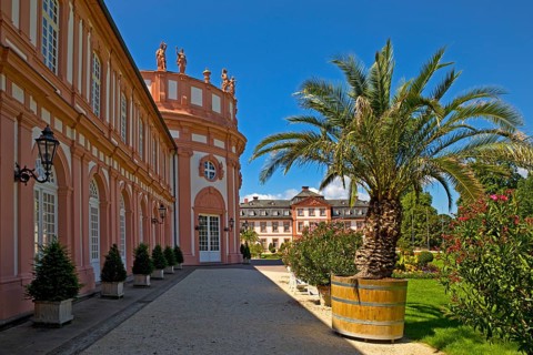 Biebrich Palace with palm trees and the rotunda from the palace park side, Wiesbaden, Hesse,