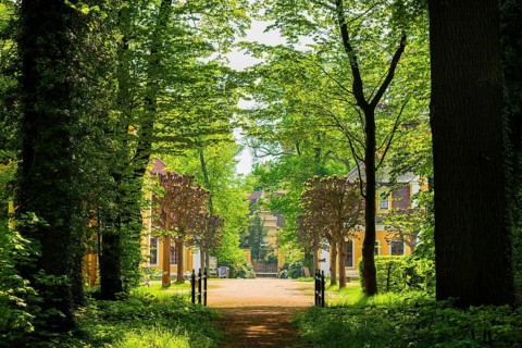 Neschwitz Baroque Palace
