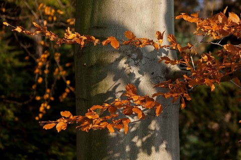 (Â© Sylvio Dittrich +49 1772156417) About 15 kilometres east of Dresden city centre, directly on