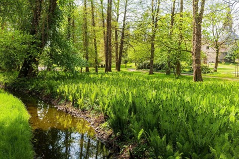 Schönfeld Castle Park Grossenhain