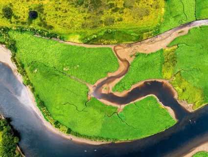Top Down over Sharpham Meadows and Marsh over River Dart from a drone, Totnes, Devon, England,