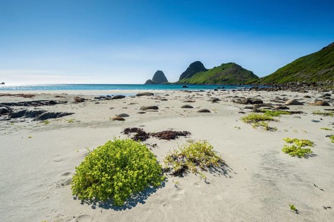 Sandvika beach near Nykvag, Langoya island, Vesteralen archipelago, Norway, Europe