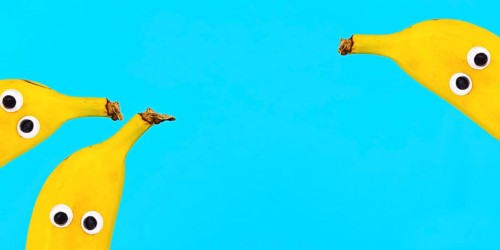 Banner with banana fruits with funny googly eyes on bright blue background with copy space