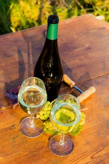 The wine-growing region of Saxony is one of the smallest and the most easterly wine-growing region
