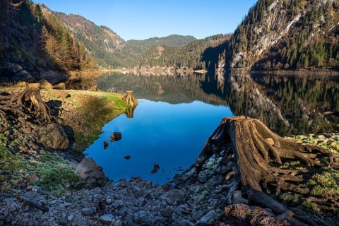 The Vordere Gosausee in autumn with a view of the Gasthof Gosausee. A tree stump in the foreground.