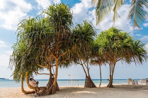 Local man sitting in a magrove tree on the beach, everyday life, beach life, tourism, travel,