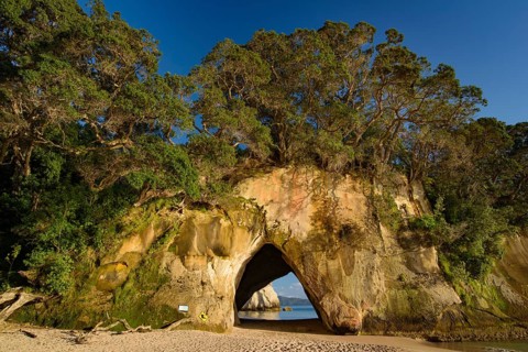 Cathedral Cove in Coromandel, New Zealand, Oceania