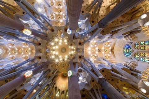 The ceiling of interior of Sagrada Familia (Church of the Holy Family), the cathedral designed by