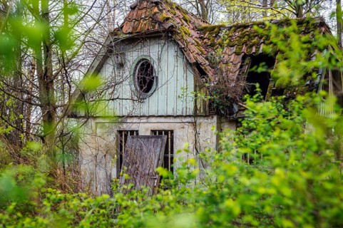 Old building in the forest witch's house