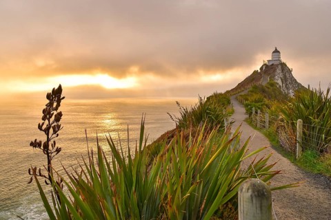 Nugget Point and lighthouse with sunrise at South Island, New Zealand, Oceania