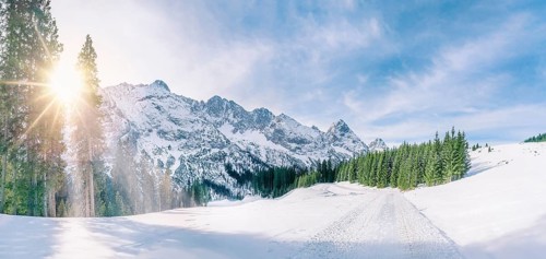 Panoramic winter scene with snow-capped mountains, the green fir forests and a road through a thick